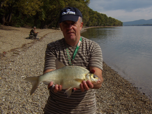 p9190027.jpg p9190027.jpg