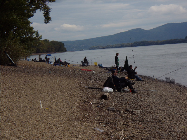 p9200051.jpg p9200051.jpg