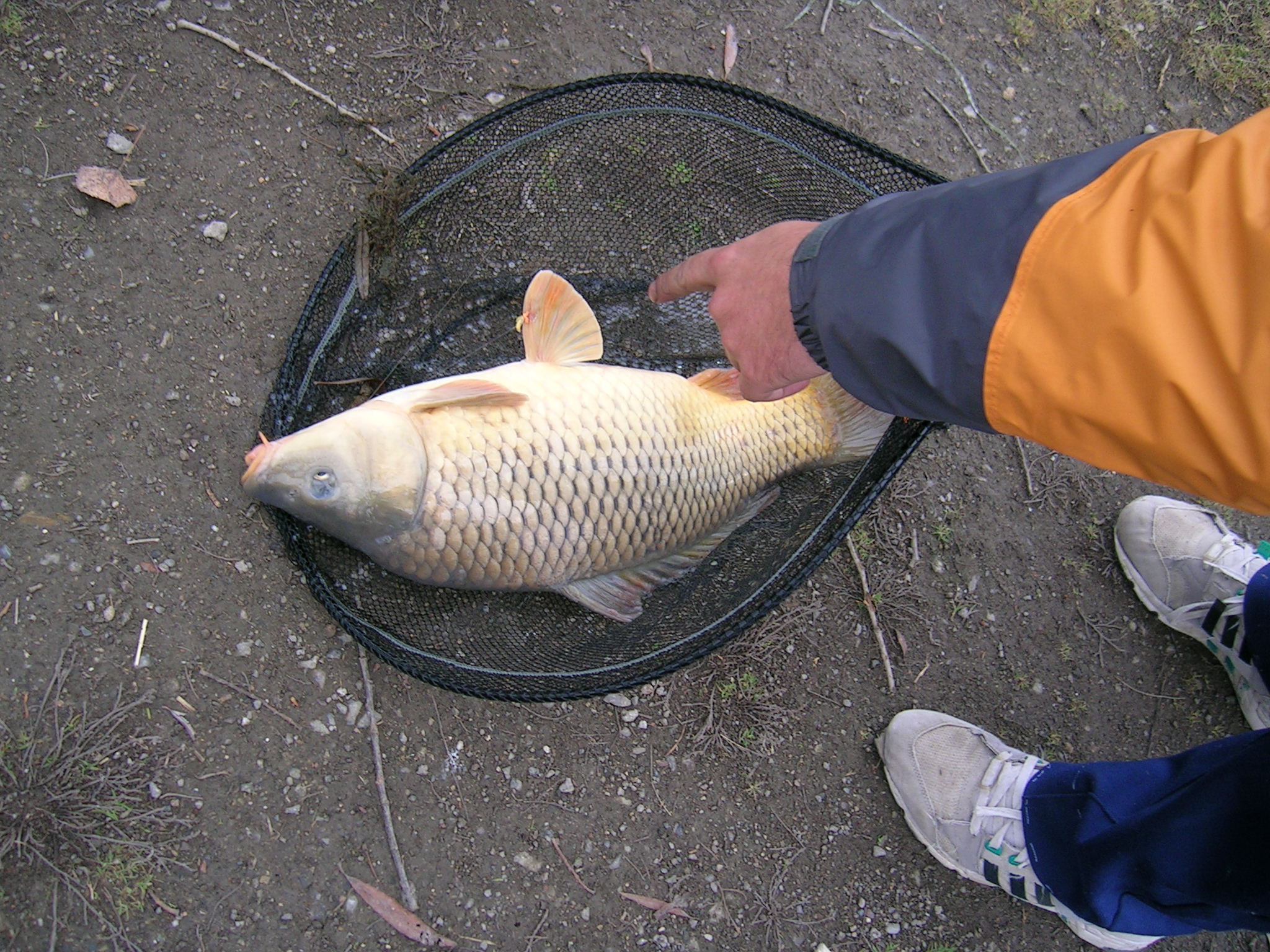 2006_25.11._pohr_kukajcch_vlk_abrna._070.jpg 2006_25.11._pohr_kukajcch_vlk_abrna._070.jpg